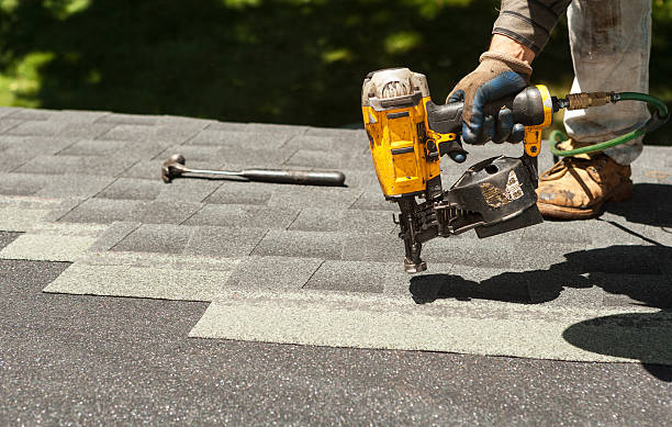 Best Roof Gutter Cleaning  in Brookridge, FL