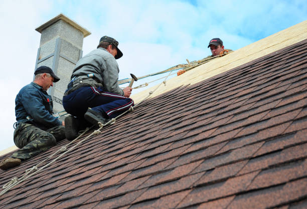 Best Roof Maintenance Services  in Brookridge, FL