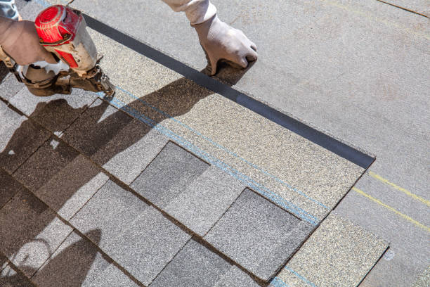 Best Shingle Roofing Installation  in Brookridge, FL