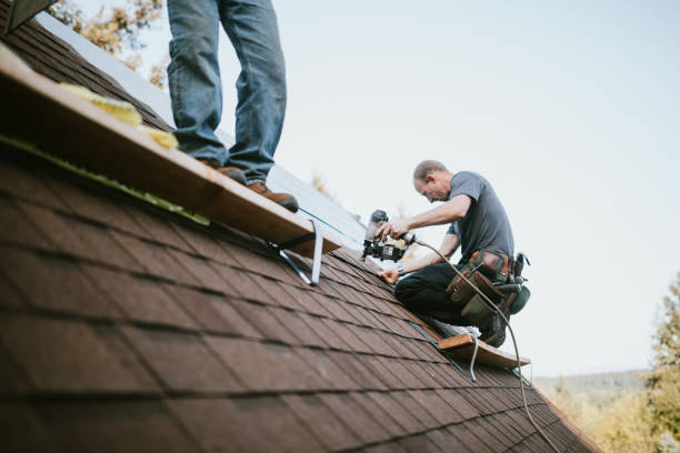 Quick and Trustworthy Emergency Roof Repair Services in Brookridge, FL